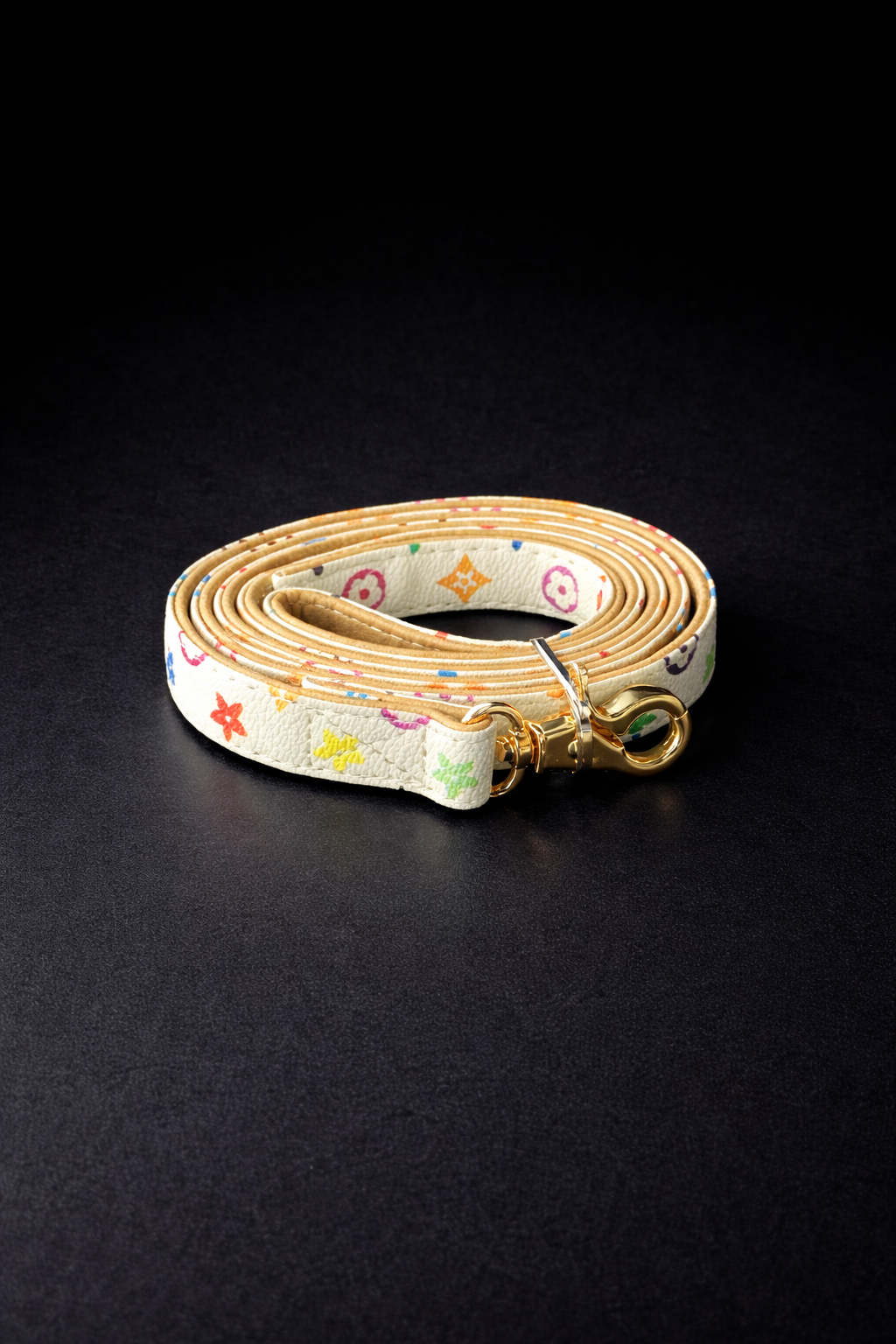 Paris - Leash-2