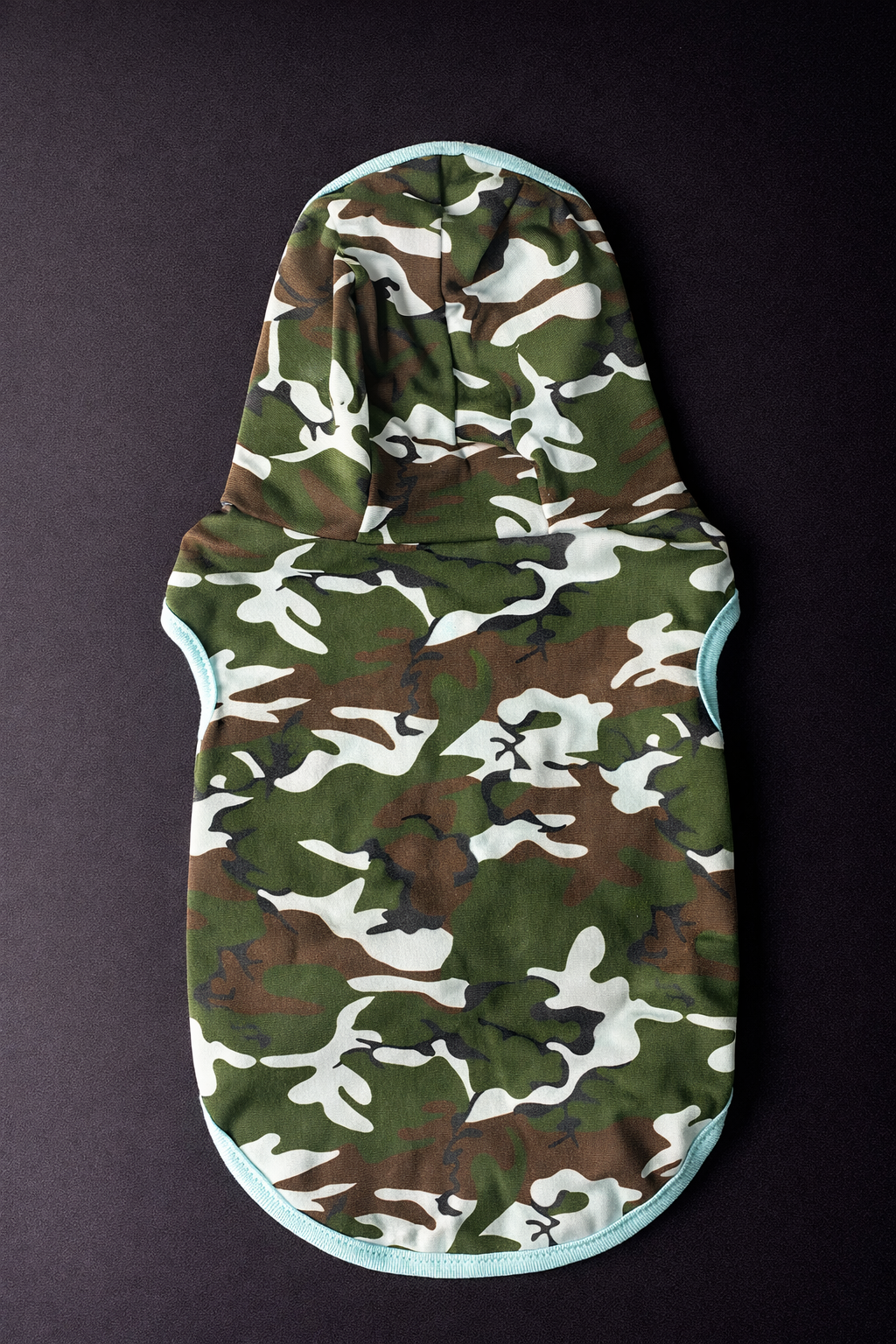 Pop Camo Hoodie-2