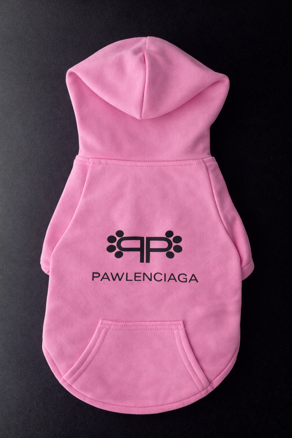 Pawlenciaga Hoodie-6