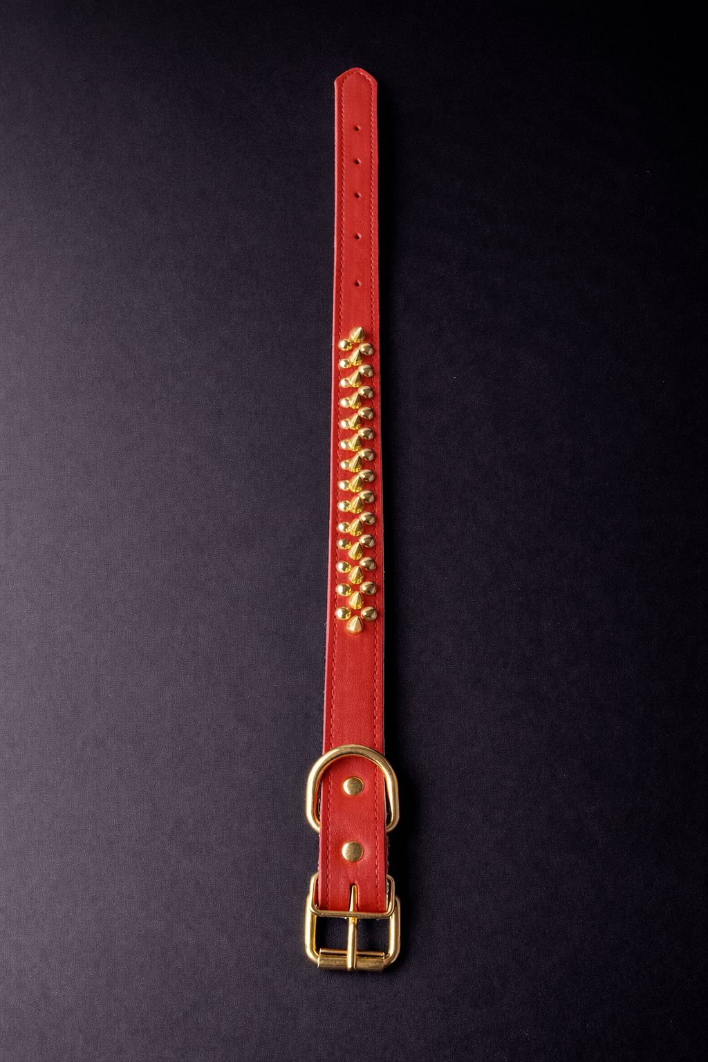 Madonna Collar (Gold)-13