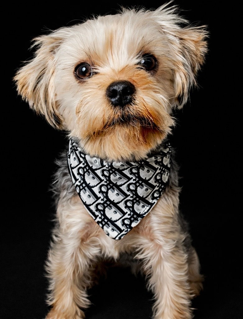 Paris - Monogram Bandana