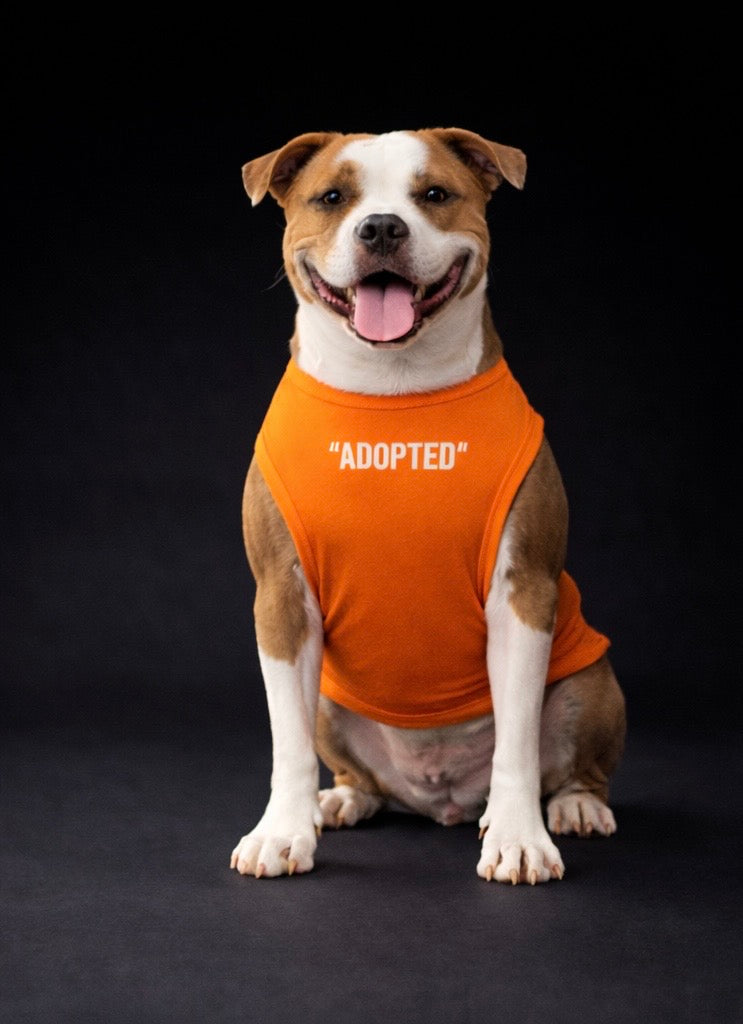 Free Rover Tank Top-2