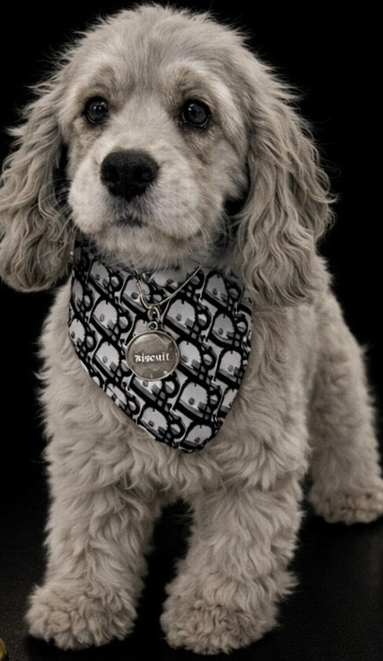 Paris - Monogram Bandana-3