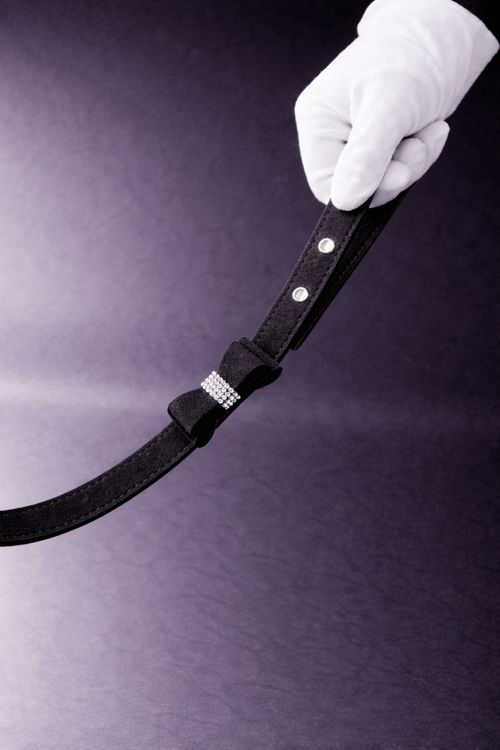 Hayworth Crystal Handle Leash-9