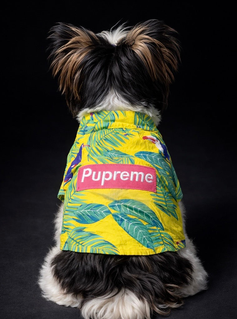 Pupreme Tropical Collection-5