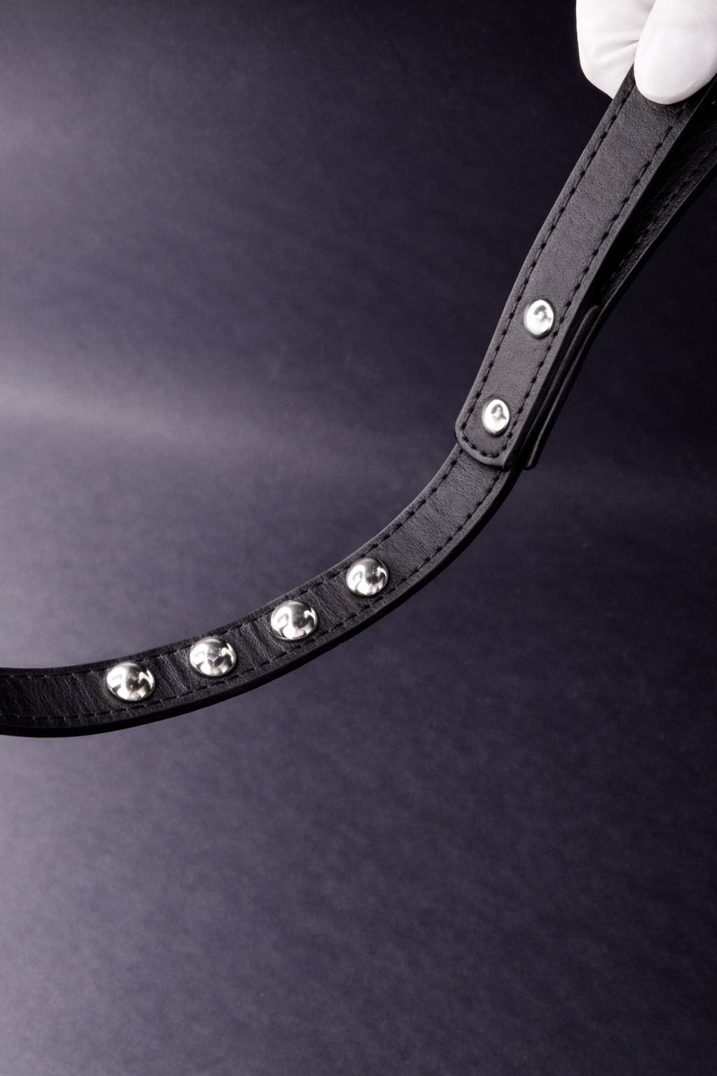 Redford Leash-3