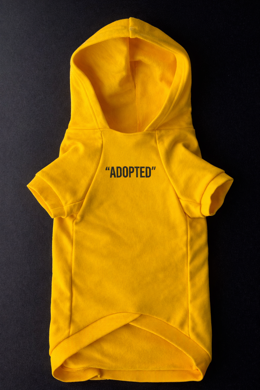 Free Rover Hoodie-7