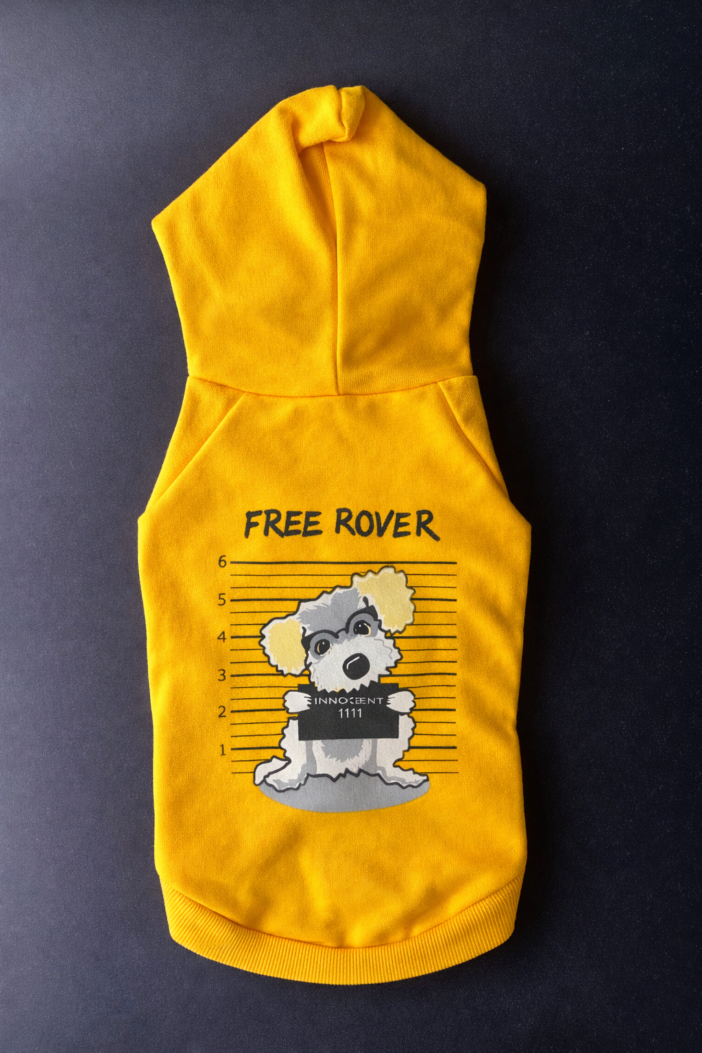 Free Rover Hoodie-6