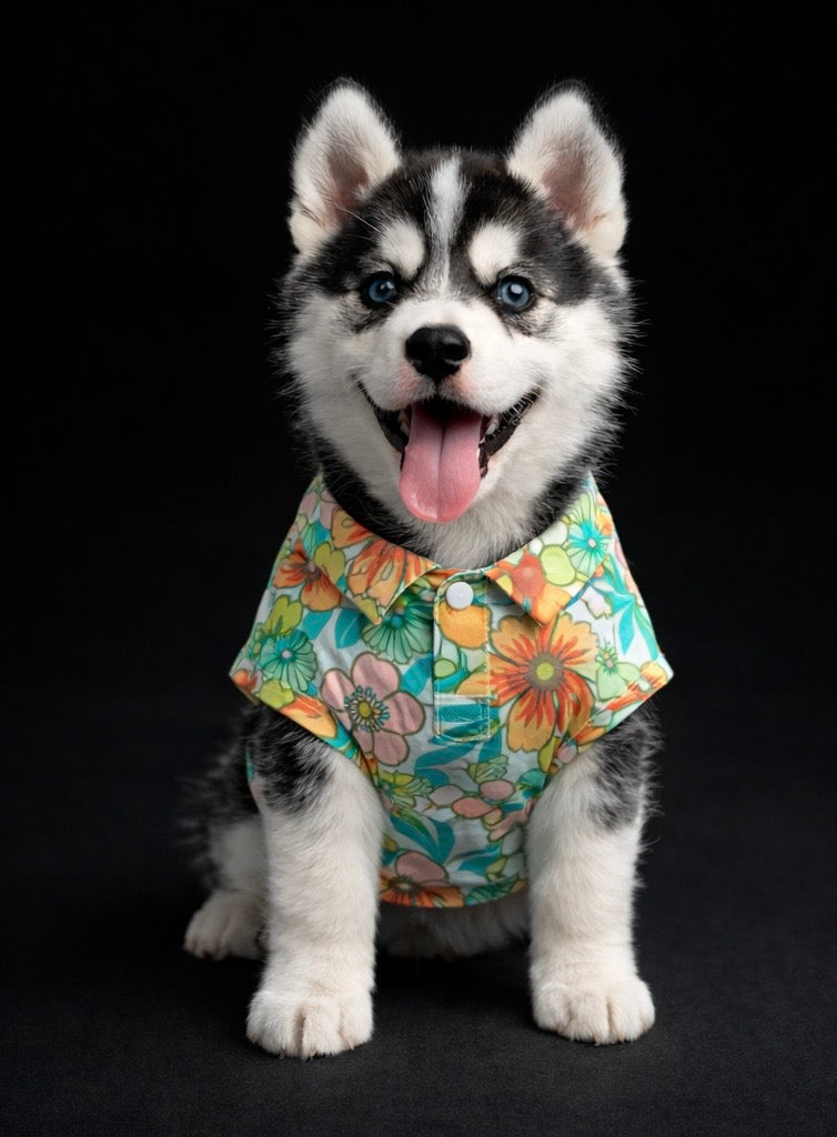 Pupreme Tropical Collection-4