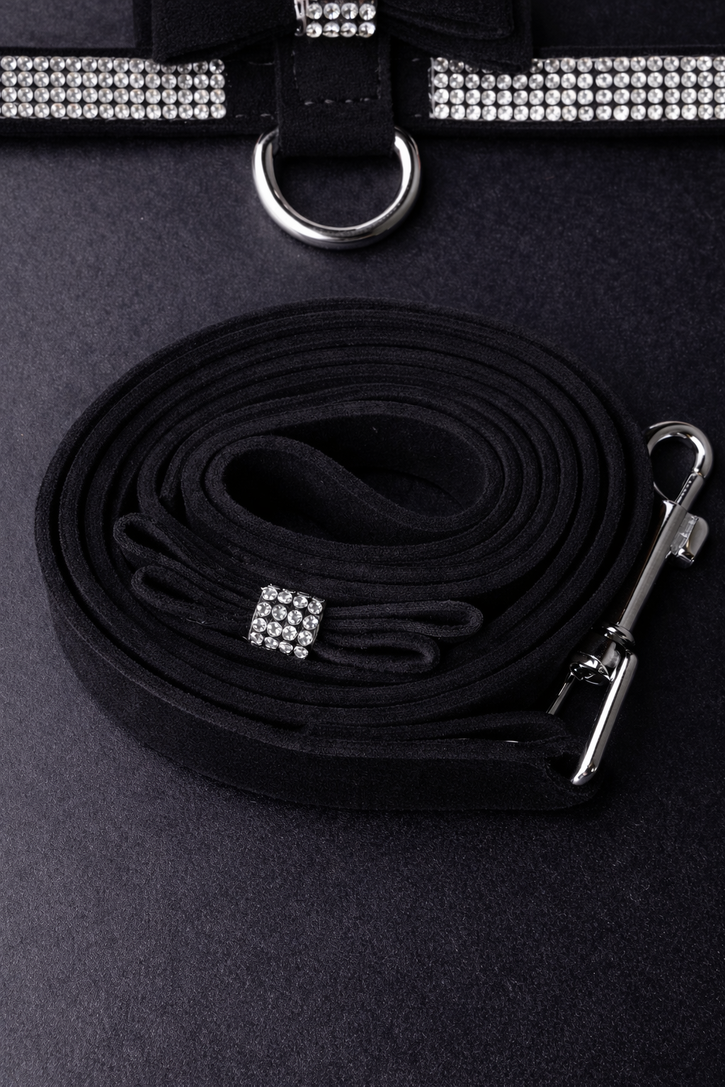 Hayworth Harness + Leash-8