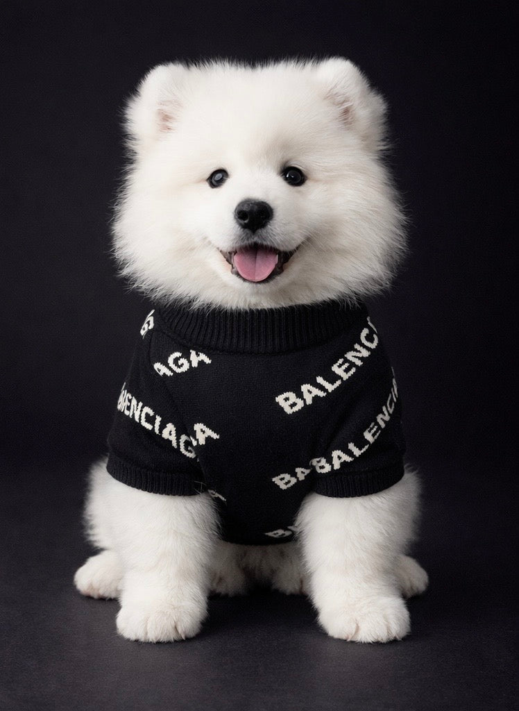 Paris - Monogram Sweater