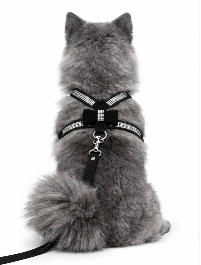 Hayworth Harness + Leash-7