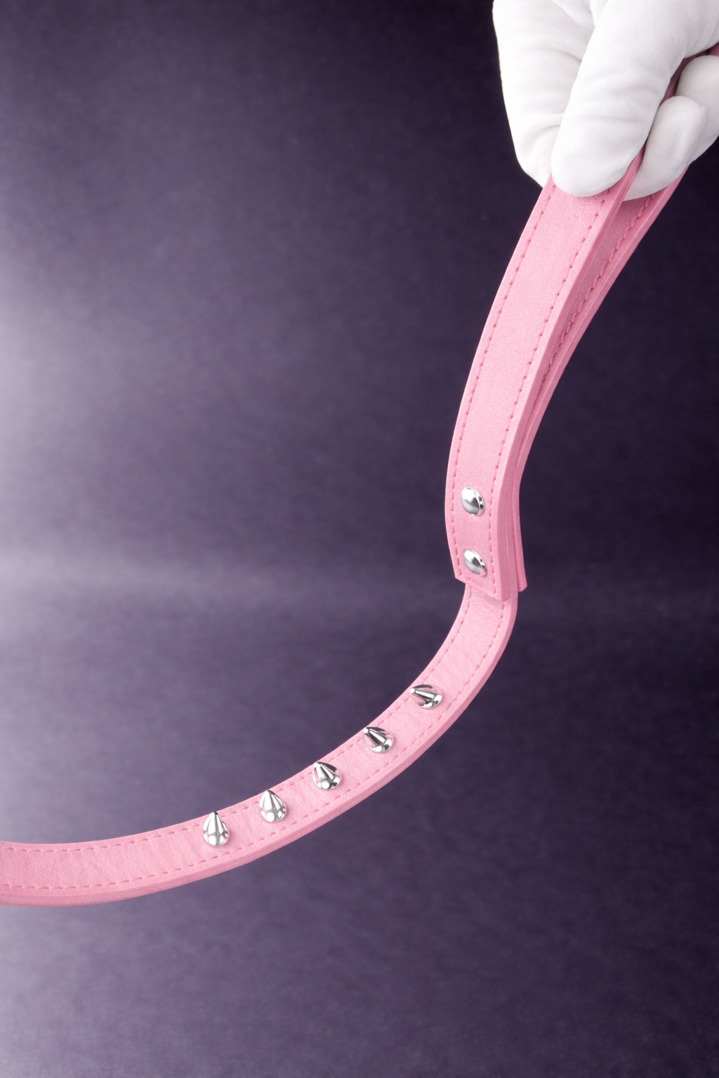 Eastwood Leash-3