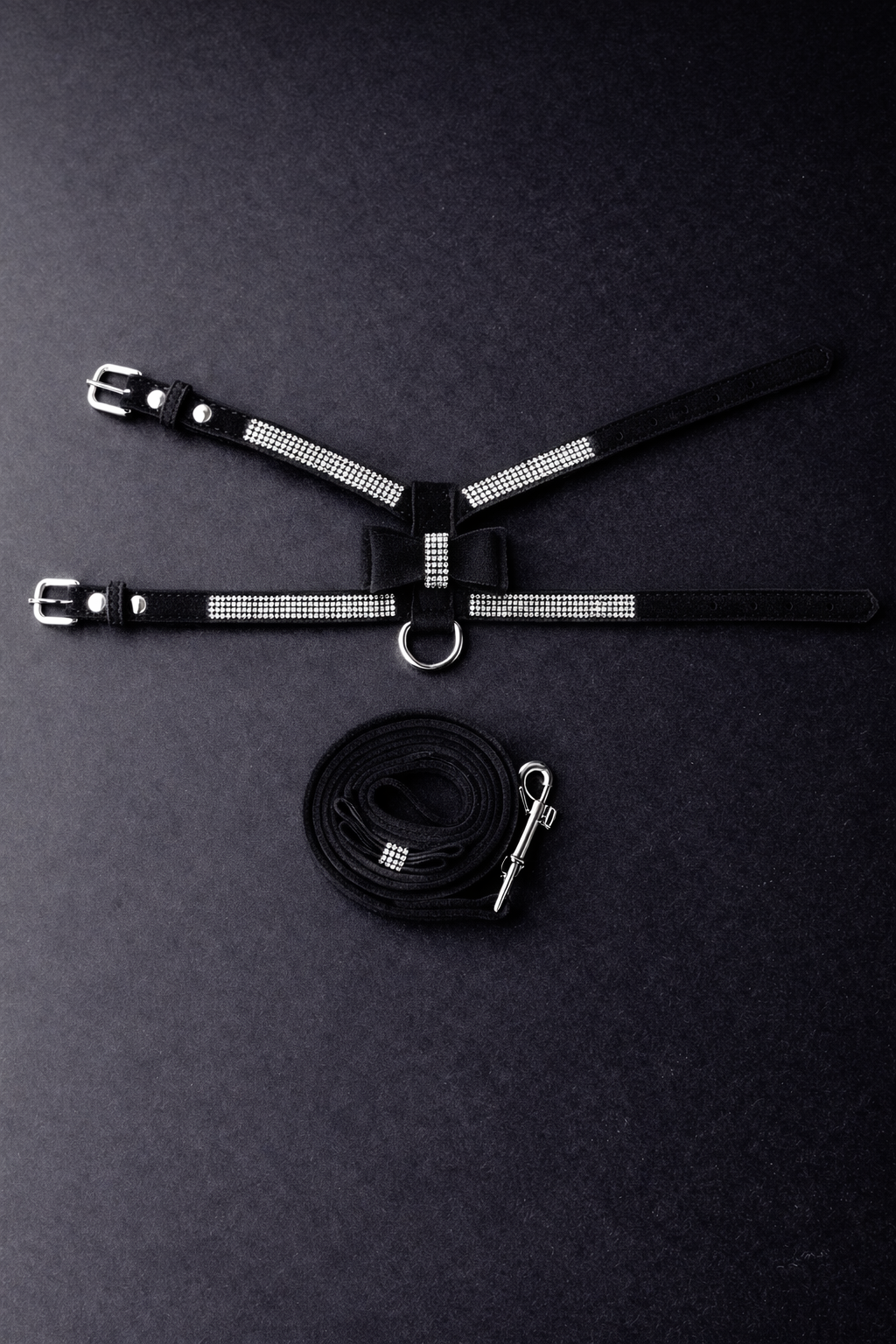 Hayworth Harness + Leash-5