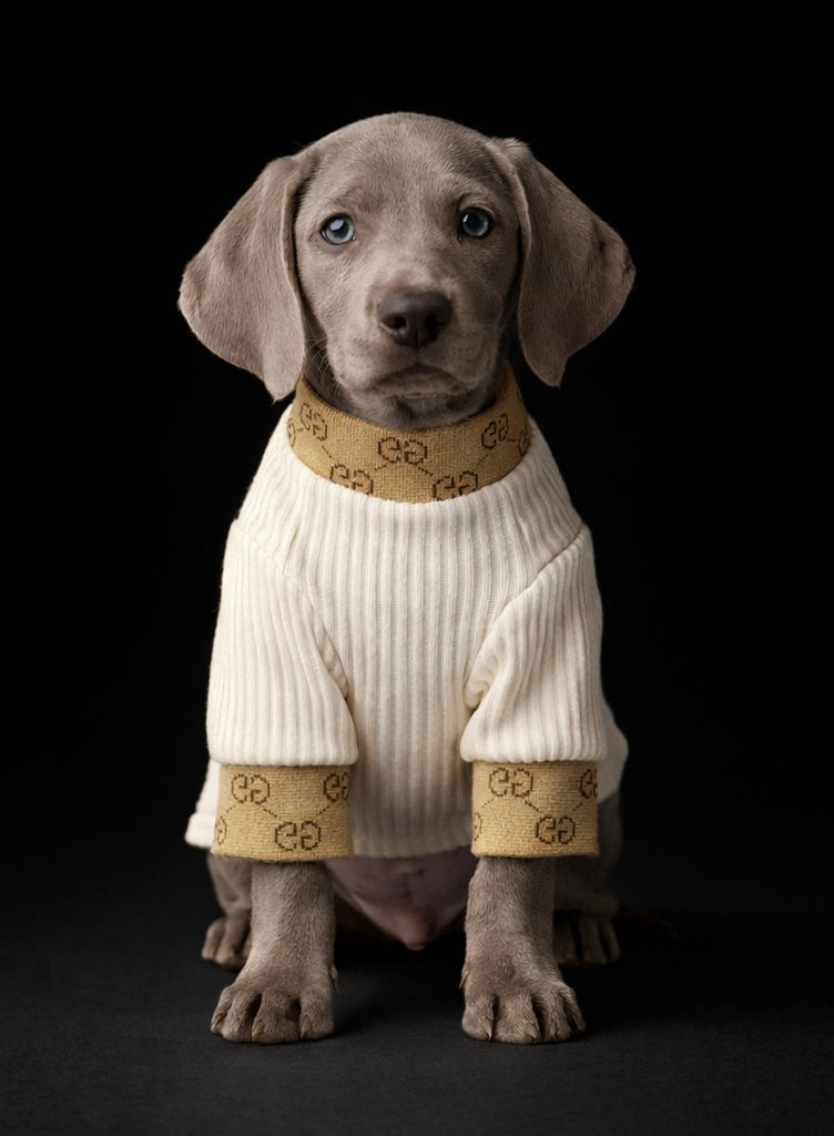 Milan - Monogram Turtleneck