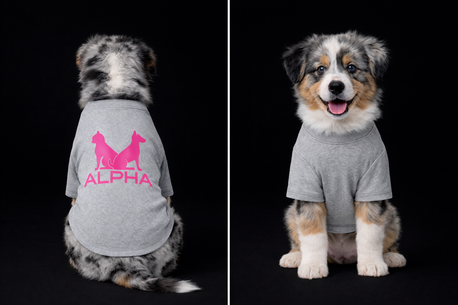 Alpha Dog Twin Set-4