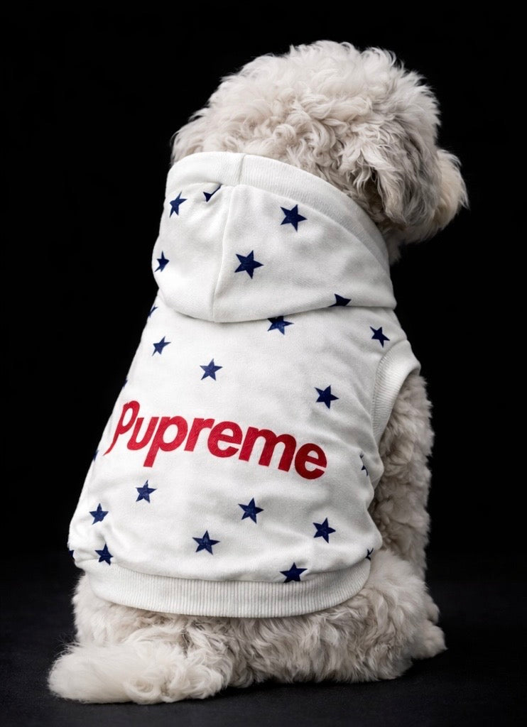 Pupreme Star Hoodie-2