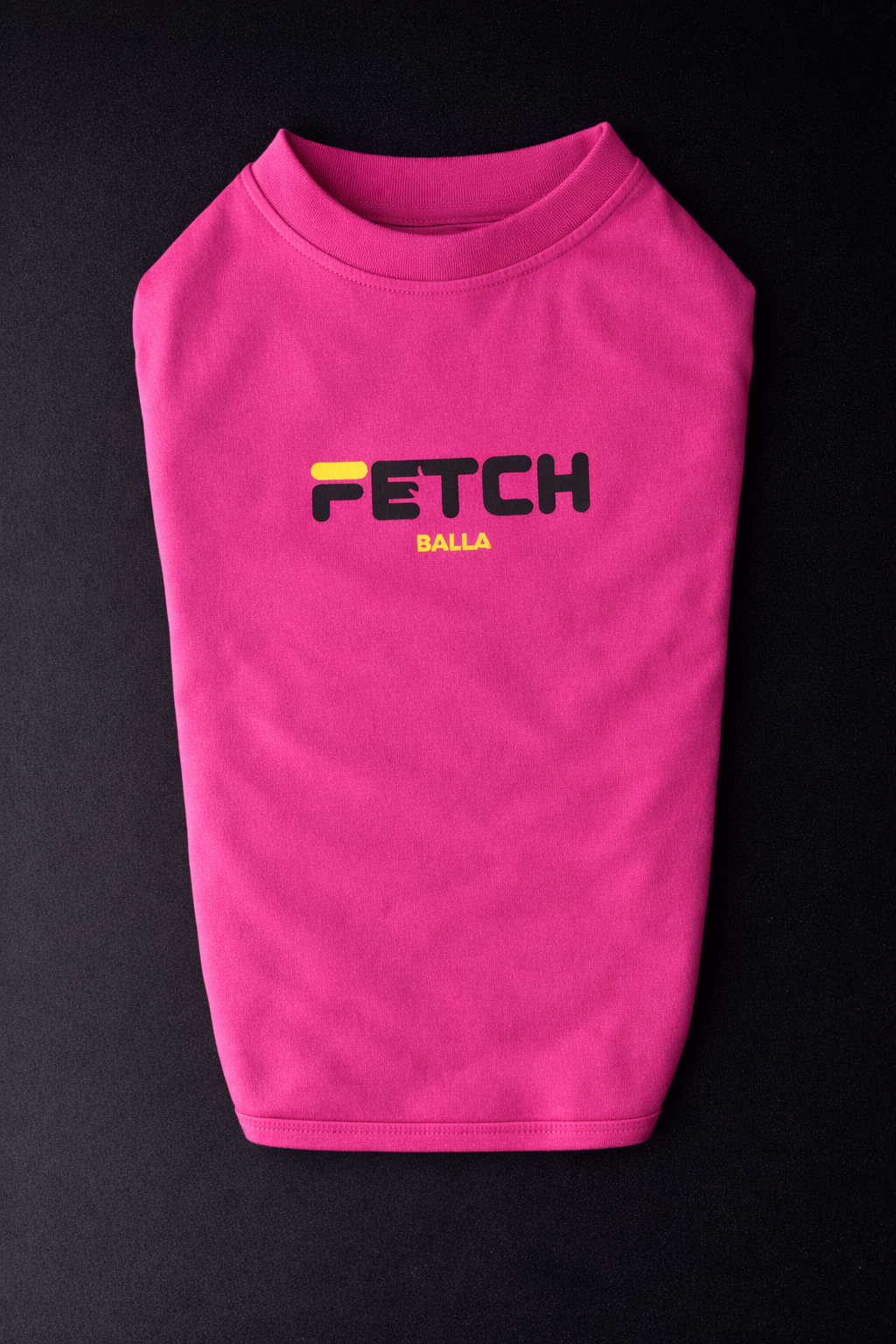 Fetch T-shirt-3