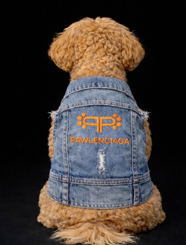 Pawlenciaga Denim Vest-3