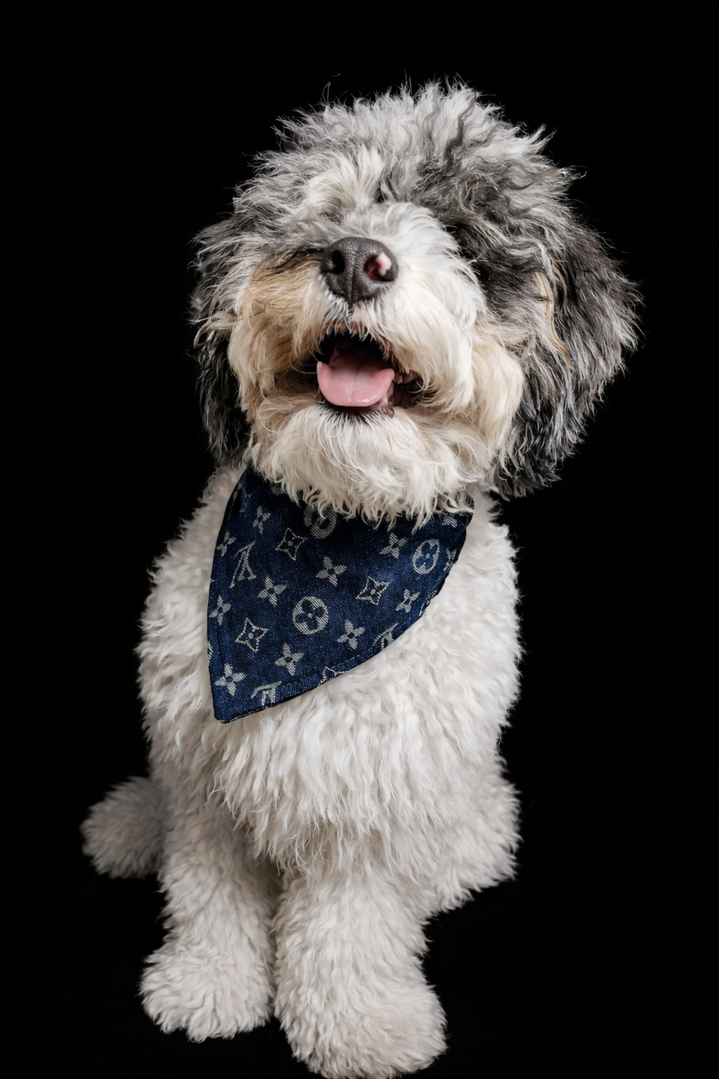 Soho Meets Paris Denim Bandana-5