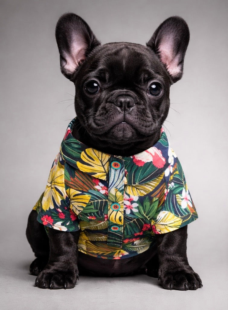 Pupreme Tropical Collection-10