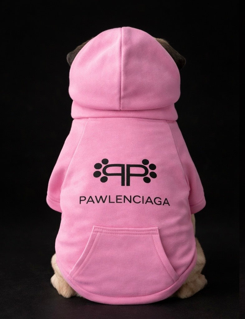 Pawlenciaga Hoodie-5