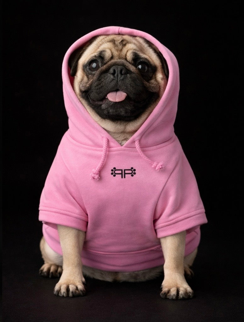 Pawlenciaga Hoodie-4