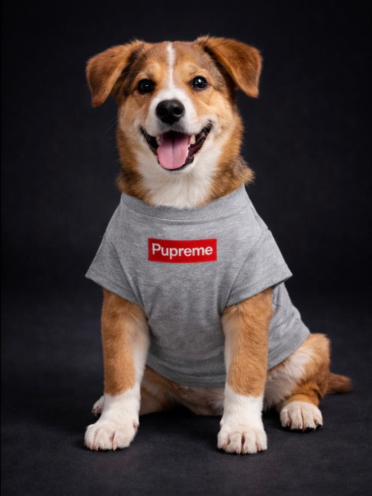 Pupreme Twin Set-11
