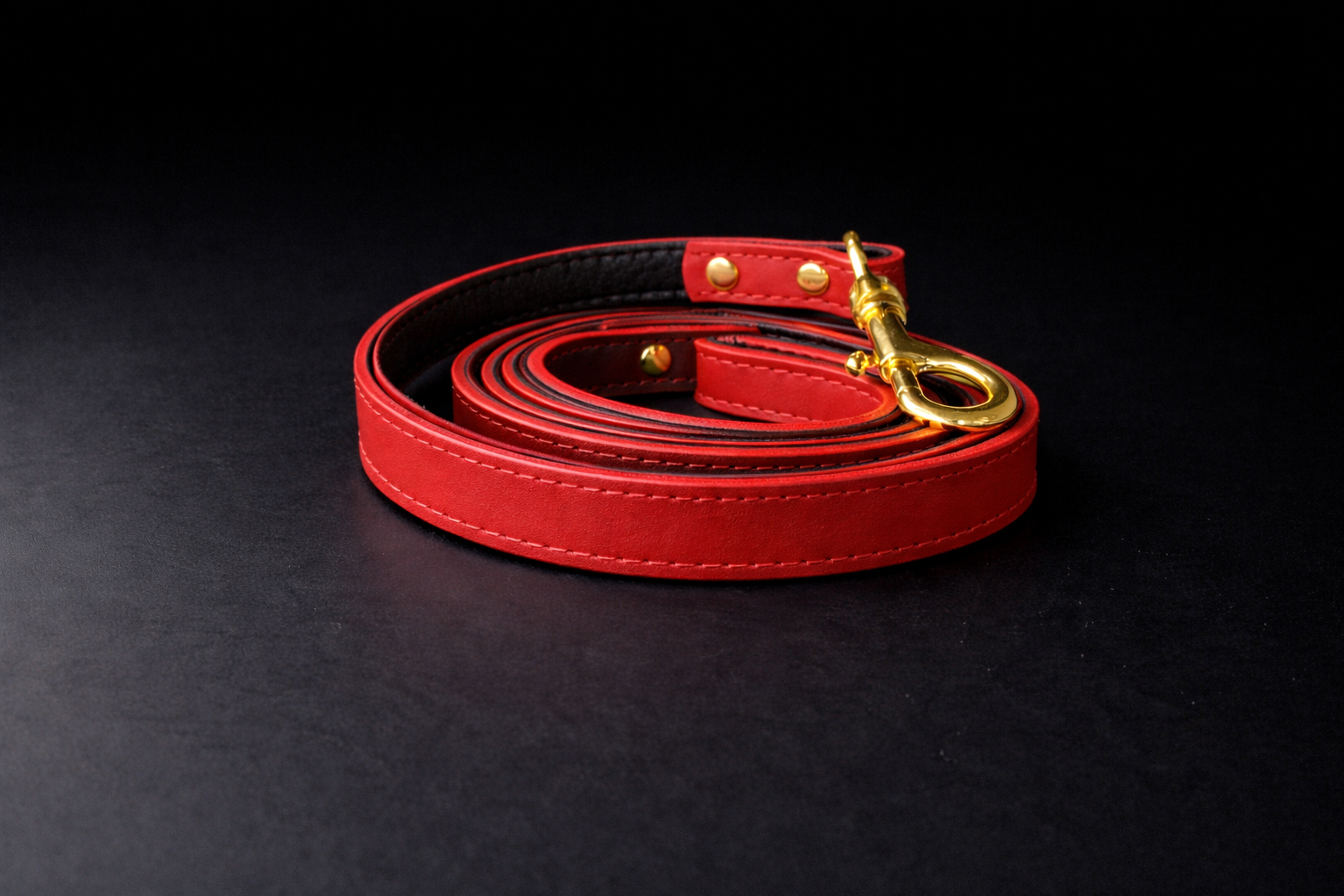 Newman Leash-2