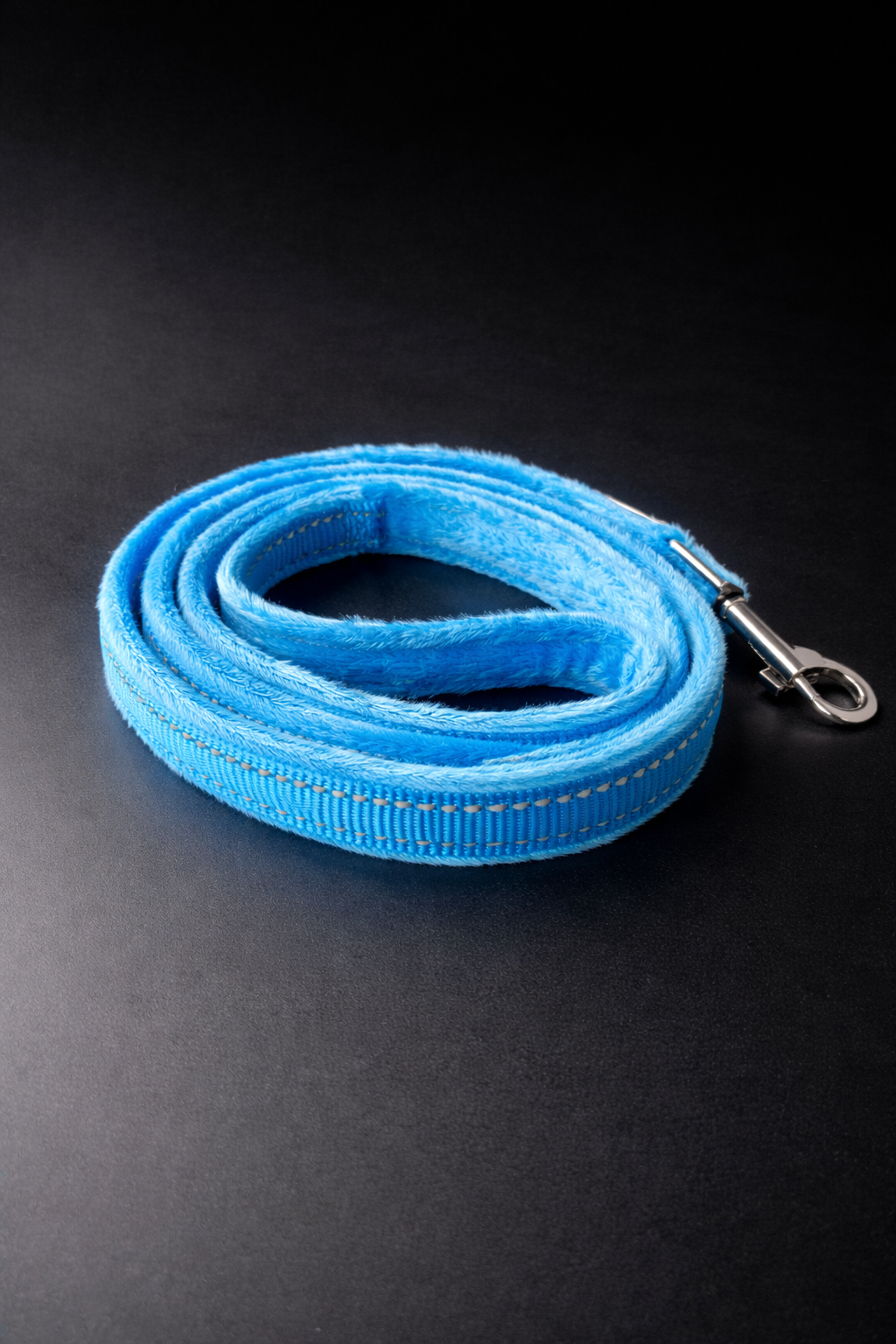 Lauper Collar + Leash-8