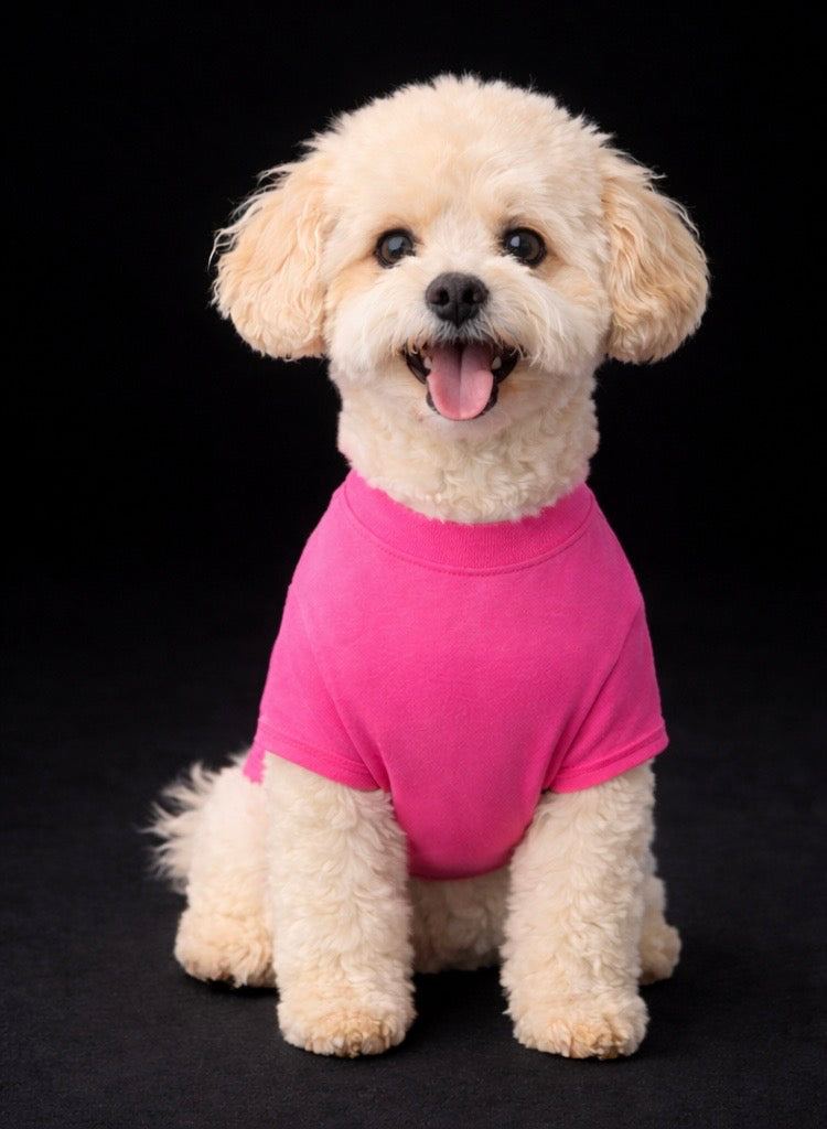 Fetch T-shirt-2