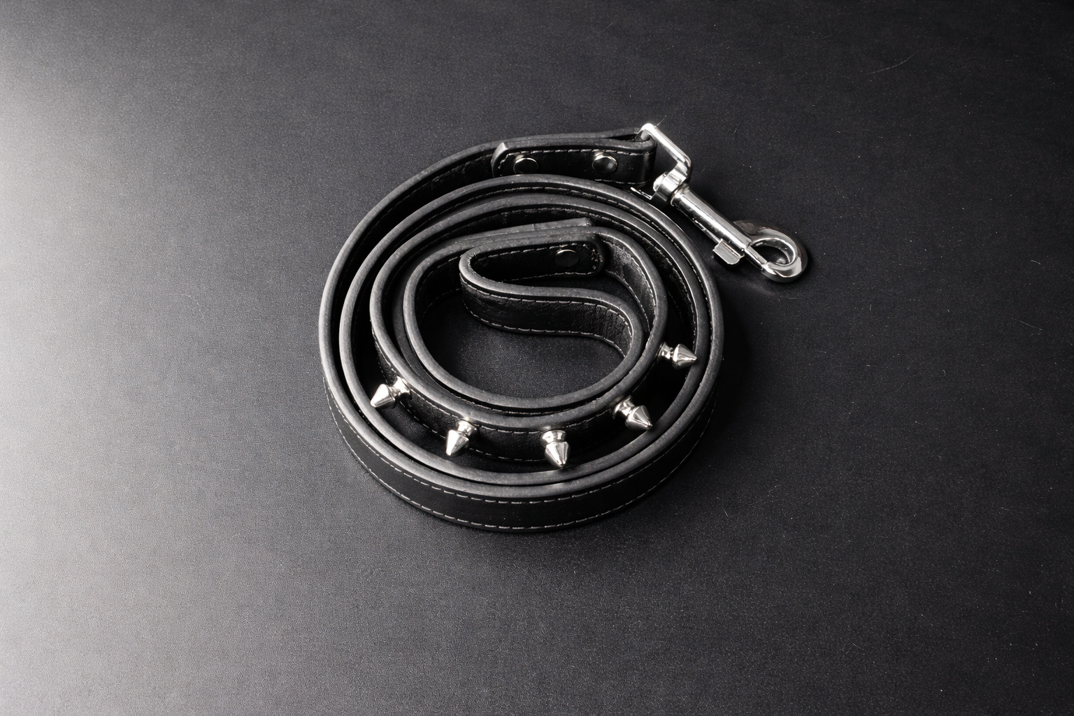 Eastwood Leash-6