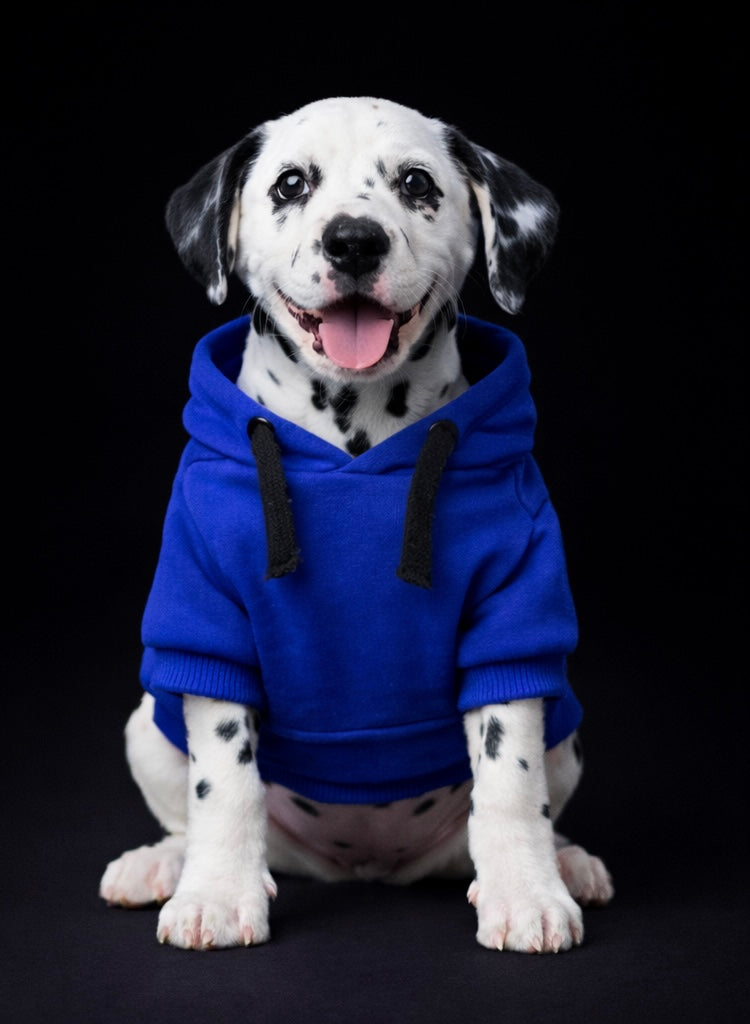 SoHo - Pink Panther Hoodie