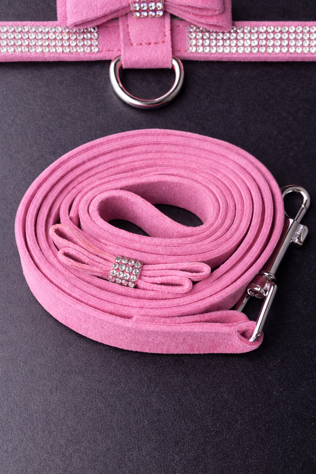 Hayworth Harness + Leash-12