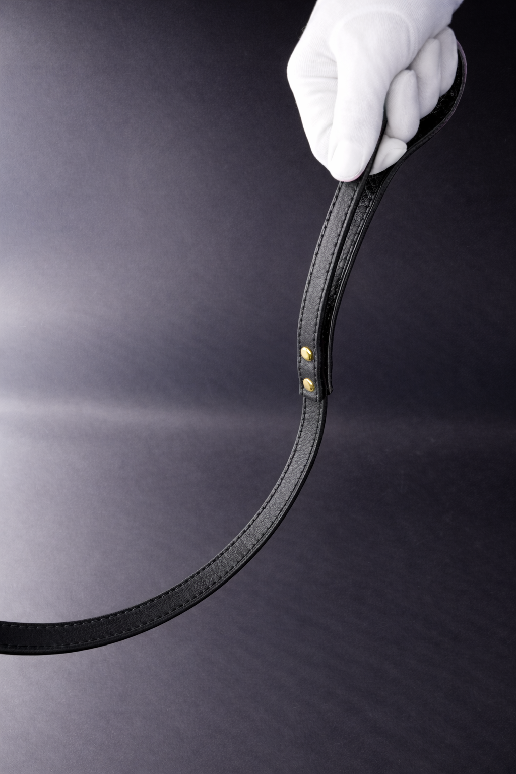 Newman Leash-7