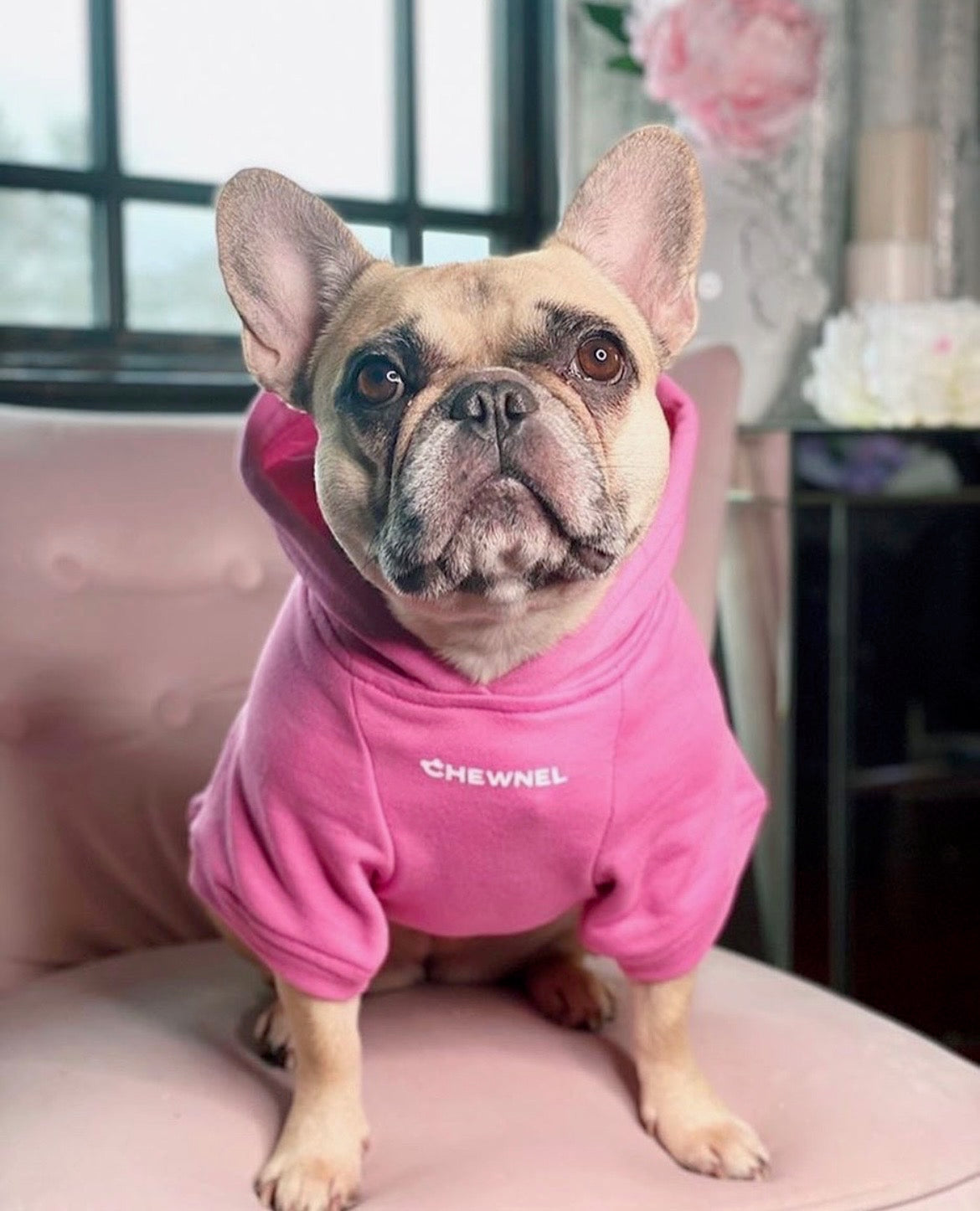 Chewnel Hoodie-2