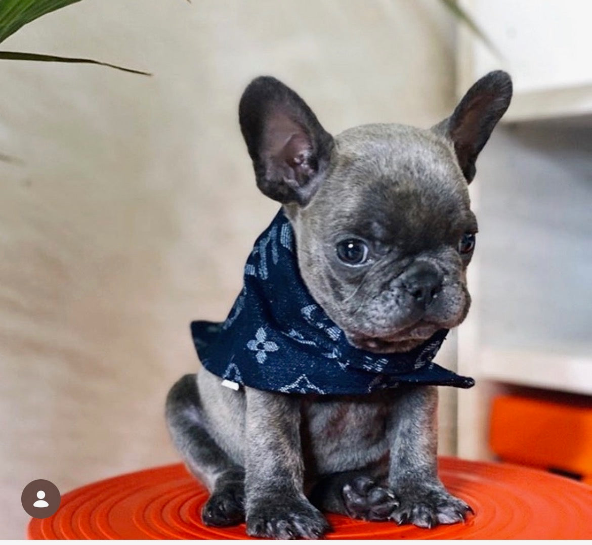 Soho Meets Paris Denim Bandana-3