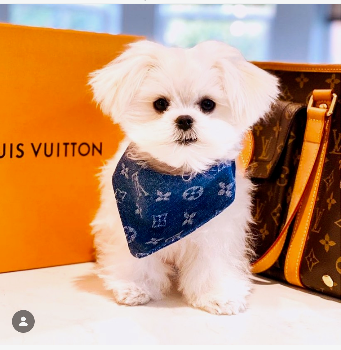 Soho Meets Paris Denim Bandana-4